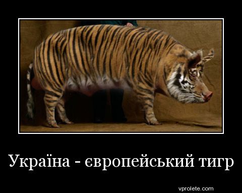 Как в Краматорске делили шкуру донбасского экономического тигра украинской породы