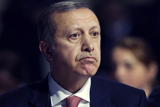 Гадкому утёнку подрезали крылья: Евросоюз «сливает» Эрдогана