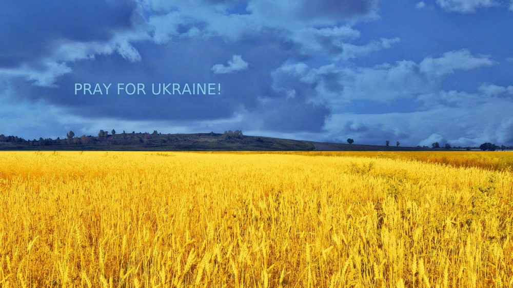 Иностранцы не смогут поднять Украину с колен