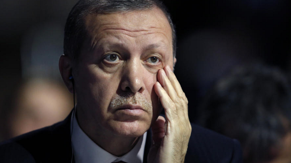 «Мисс Турция» осуждена за оскорбление Эрдогана