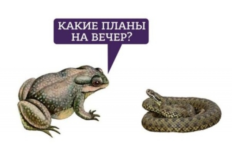 Прозрения? А выглядит как половые акты жаб с гадюками Прозрения? А выглядит как половые акты жаб с гадюками