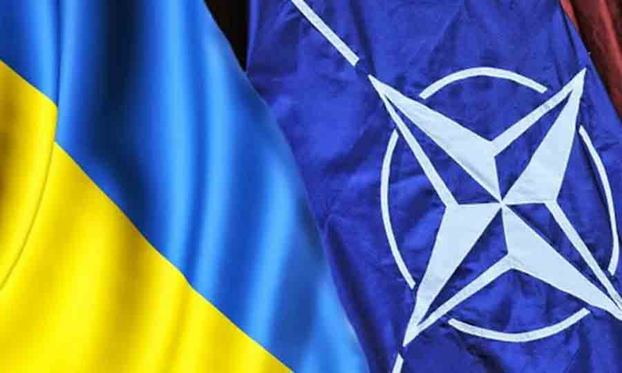 Дурилка картонная: Украина нужна НАТО как раздражитель России и ЕС