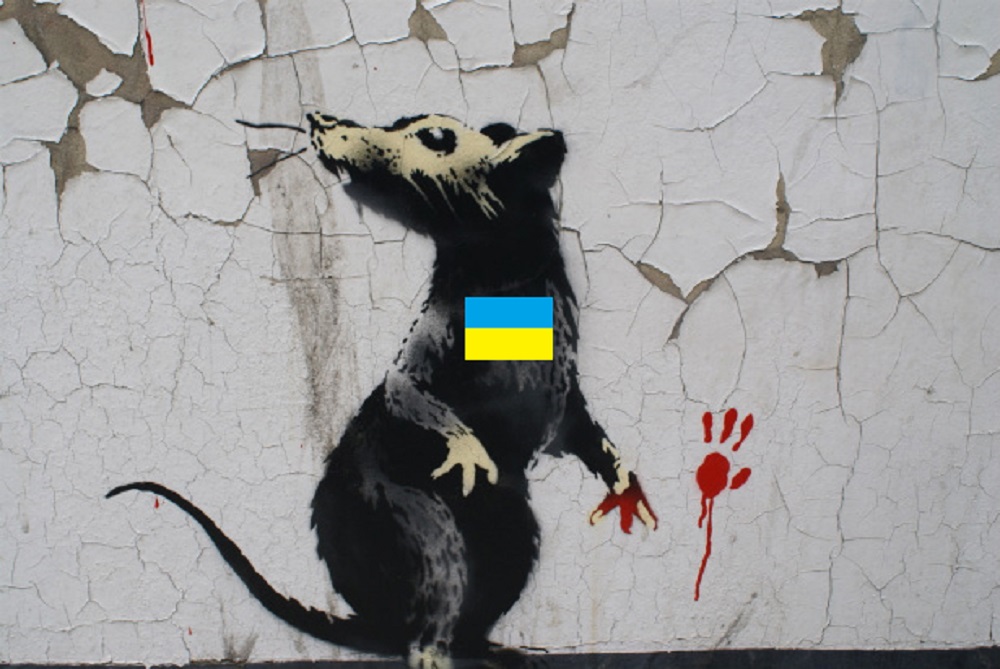 Украинские крысы загнаны в угол и могут напасть на Донбасс