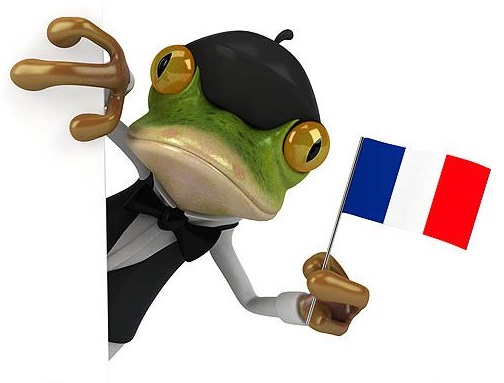 Блестящий идиотизм Франции в «борьбе с террором»