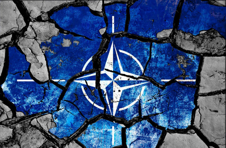Российский газ расколол НАТО: русофобы в истерике