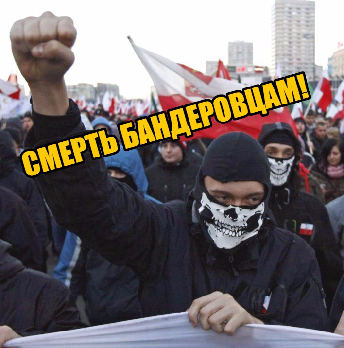 Поляки сделали жесткое заявление в адрес укронацистов: «Мы вас всех поубиваем!»