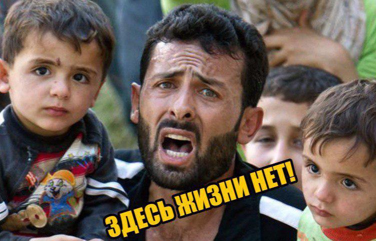 «Хуже, чем в Алеппо»: беженцы рассказали горькую правду о жизни в Прибалтике
