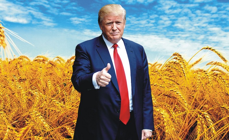 Трамп-революция сделает Украину свободной Трамп-революция сделает Украину свободной