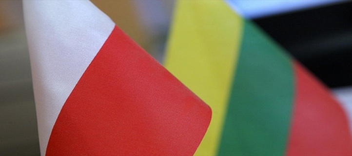 Литовское дежавю: Вильнюс хочет «перезагрузить» отношения с Польшей