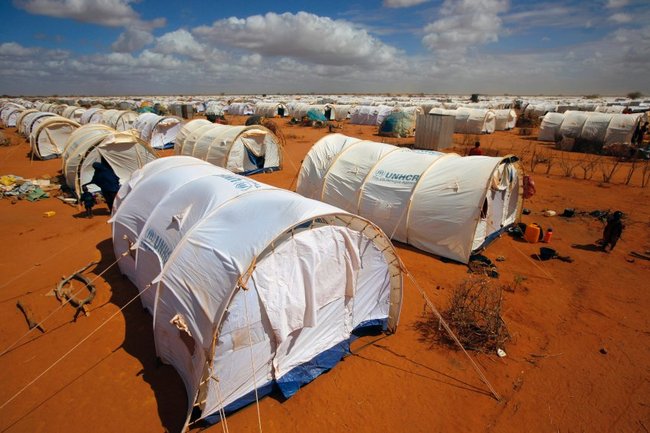 Белоруссия построит лагеря для российских беженцев