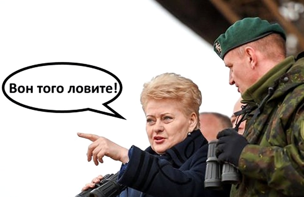 Запад готовит Литву на роль нового «терпилы»