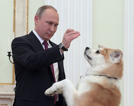 Наше собачье отношение к Путину – наш главный недочет
