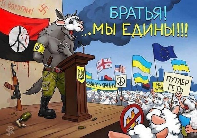 Катастрофическая самодеятельность украинской власти Катастрофическая самодеятельность украинской власти
