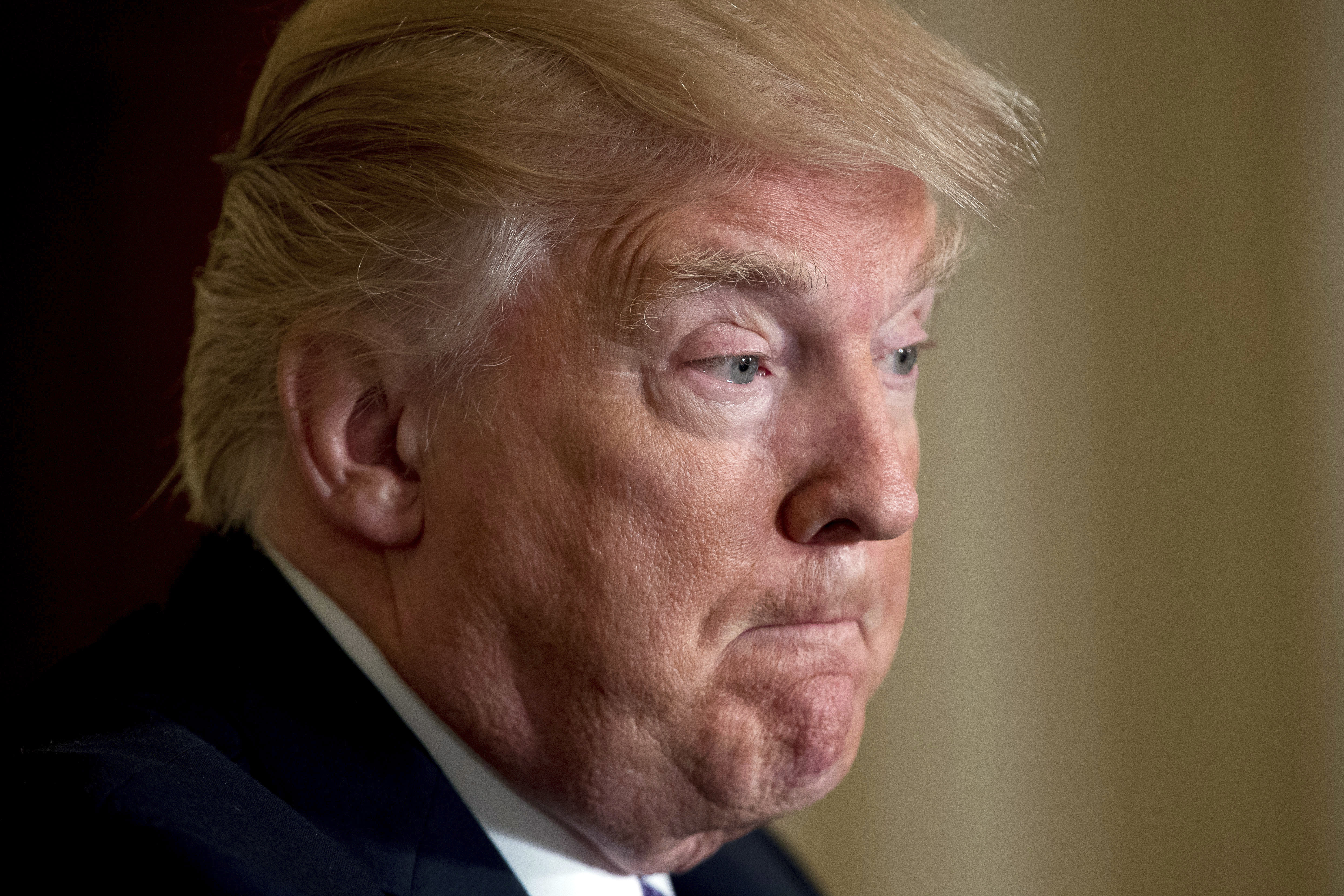 В ближний космос отправили плакат против политики Трампа В ближний космос отправили плакат против политики Трампа