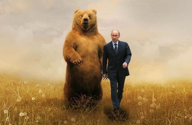 Times порекомендовал Западу не злить русского медведя