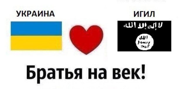 Украина стремится попасть в списки стран-террористов типа ИГИЛ