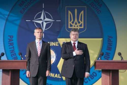 Украина и НАТО: любит – не любит