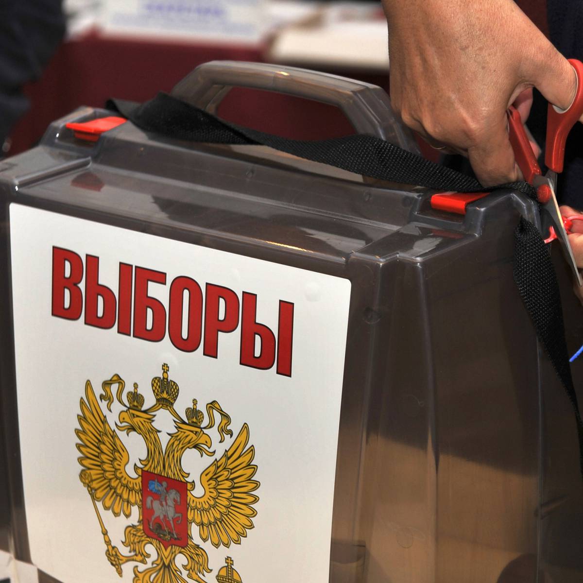 Оппозиция получила большинство на выборах в десяти районах Москвы