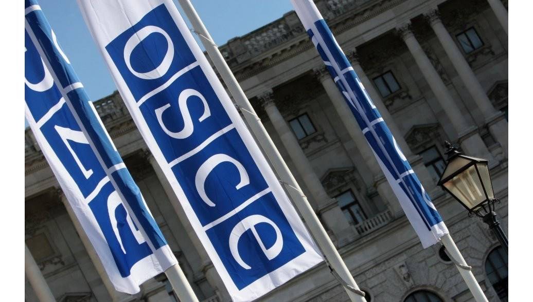 Украинская делегация сорвала выступление крымского журналиста в ОБСЕ