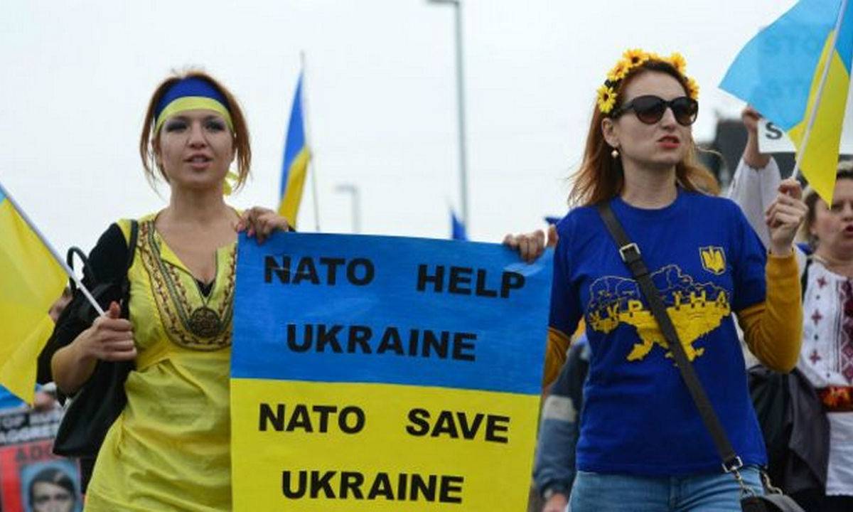 Forbes: Если Украина хочет в НАТО, ей придется забыть о Крыме