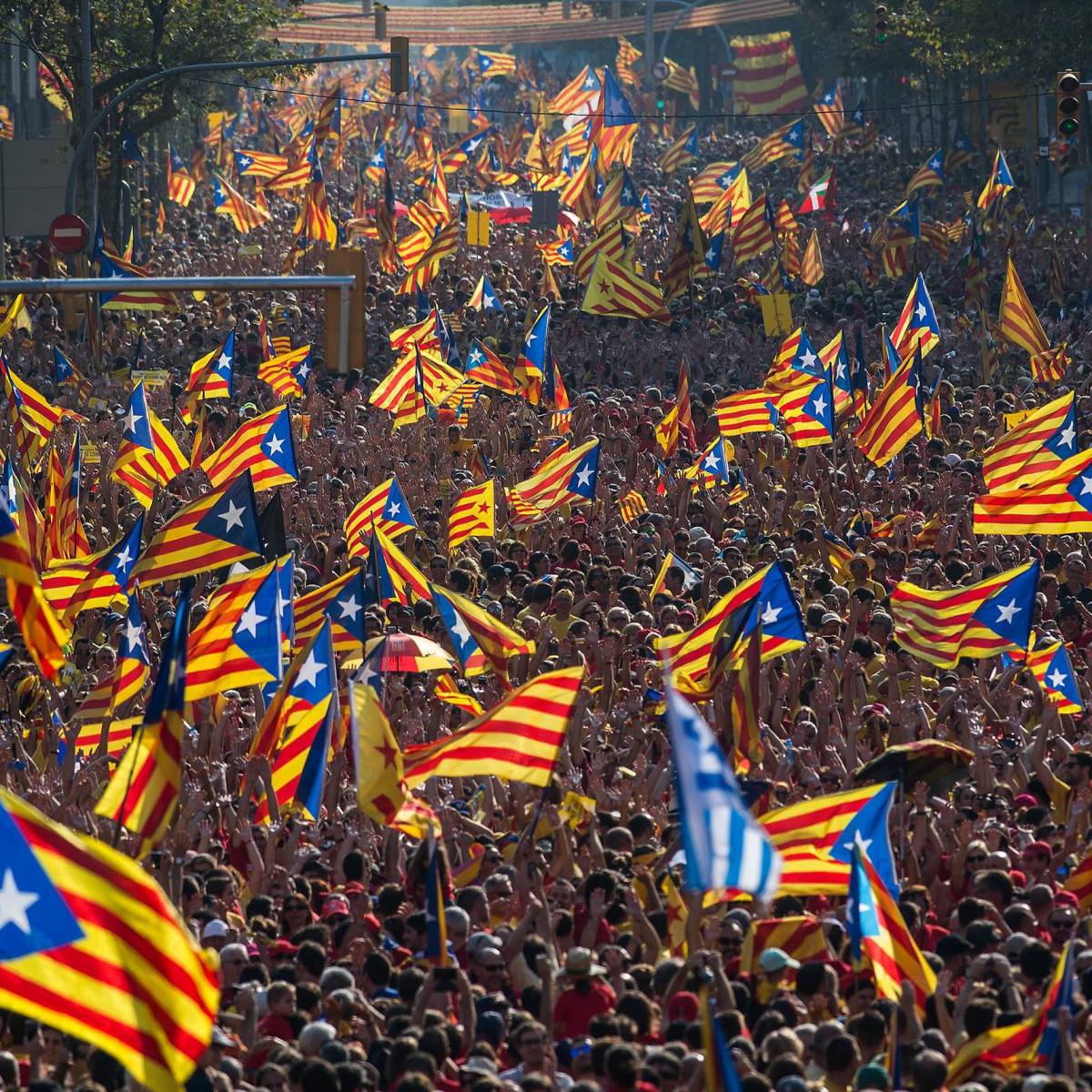 «Крымский сценарий»: Власти Каталонии сообщили результаты референдума