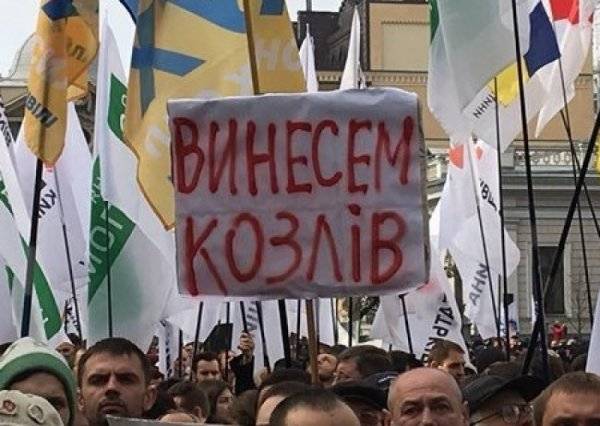 Майдан 3.0: «изгнание козлов из Рады»