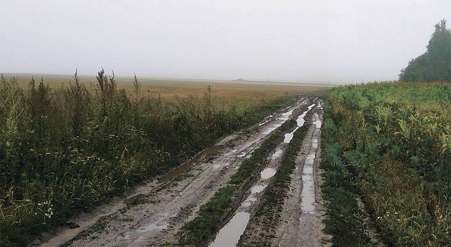 Свинцовые ужасы режима Свинцовые ужасы режима