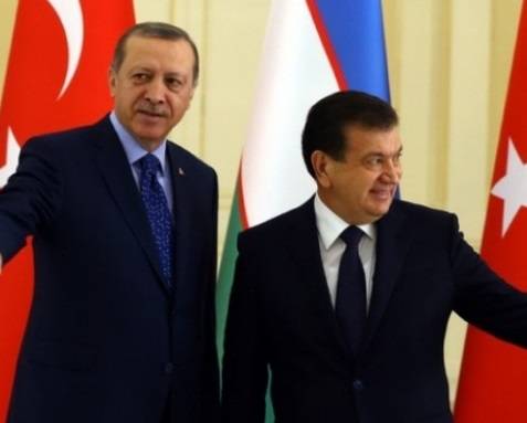 У Турции могут быть свои виды на Узбекистан