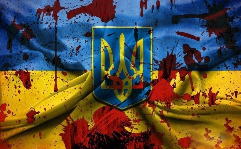 За что боролись... Криминальная революция на Украине свершилась!