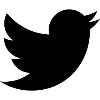 Twitter в России уже ничего не спасет