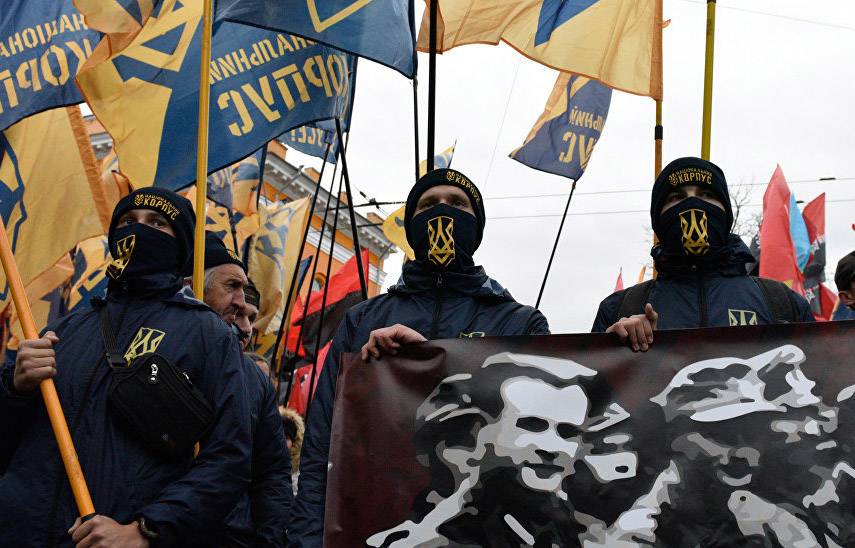"Европейская" Украина: нацисты вместо закона