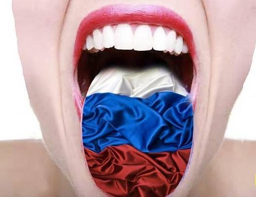 Языковой скандал в «разгаре»: Запад «ткнул носом» Украину за русских