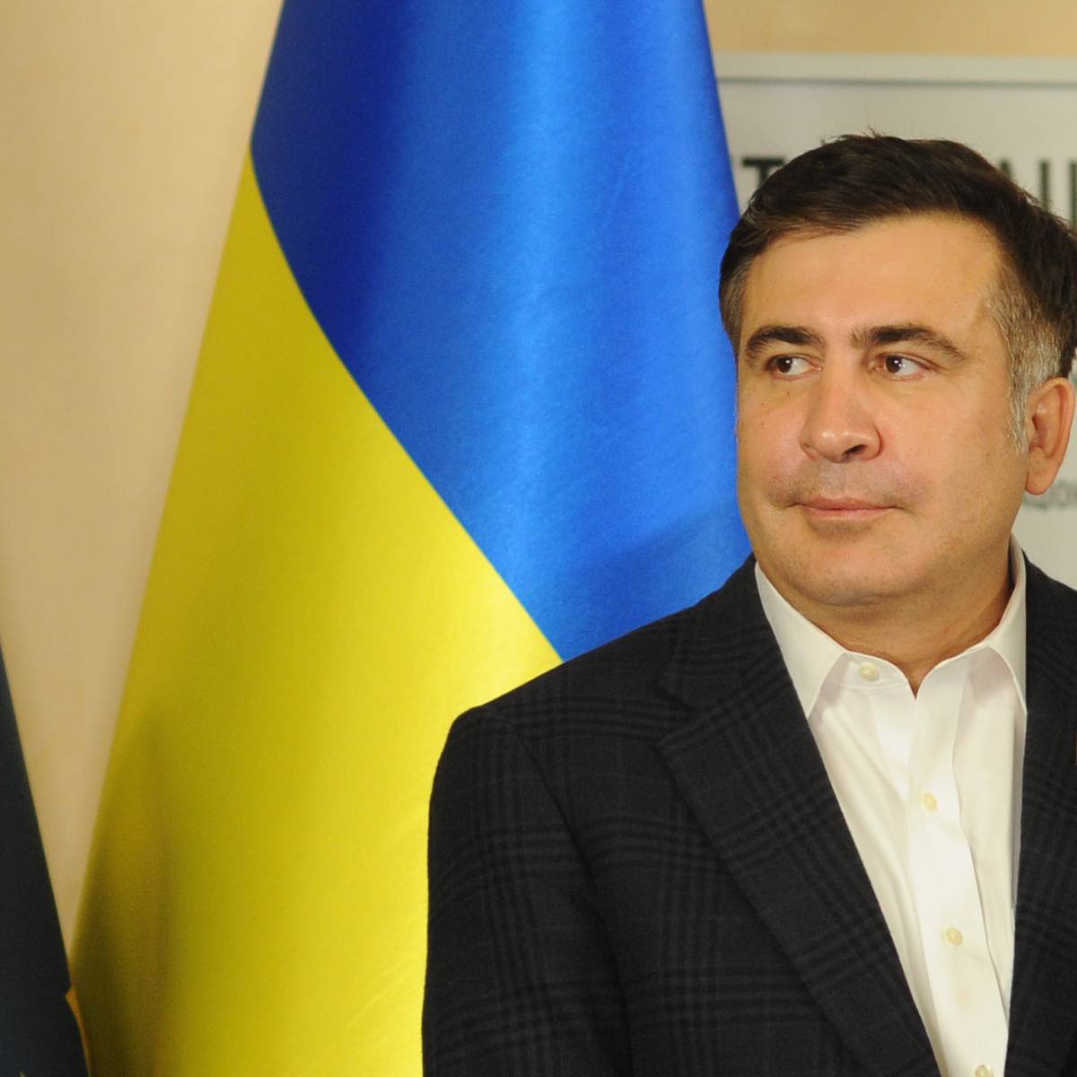 Саакашвили заявил о готовности вернуться к работе в правительстве Украины