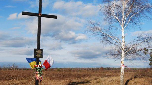 Иски на $5 млрд и запрет на въезд в страну. Чего украинцам ждать от Польши