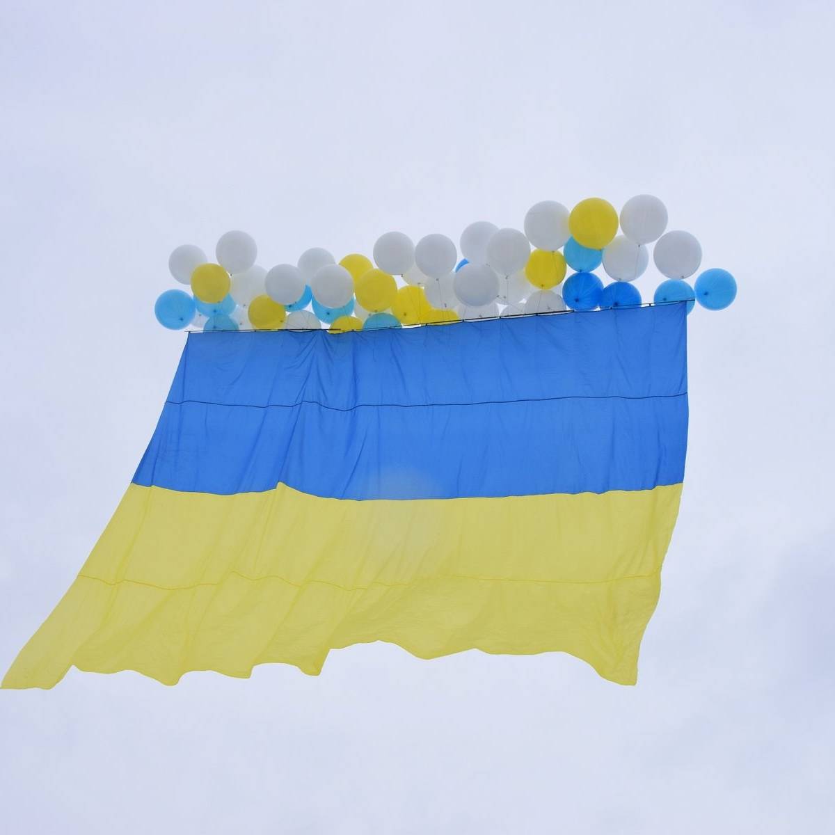 Провокация из Украины: патриоты на Луганщине пошли на отчаянный поступок