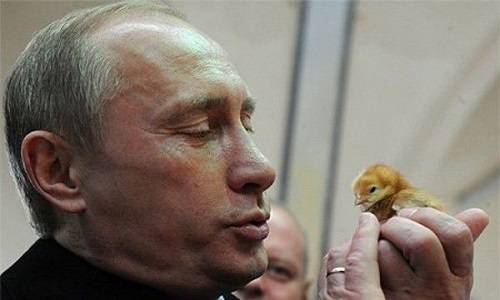 Выборы имени Путина – лев против кроликов, брошенных ему на съедение Выборы имени Путина – лев против кроликов, брошенных ему на съедение