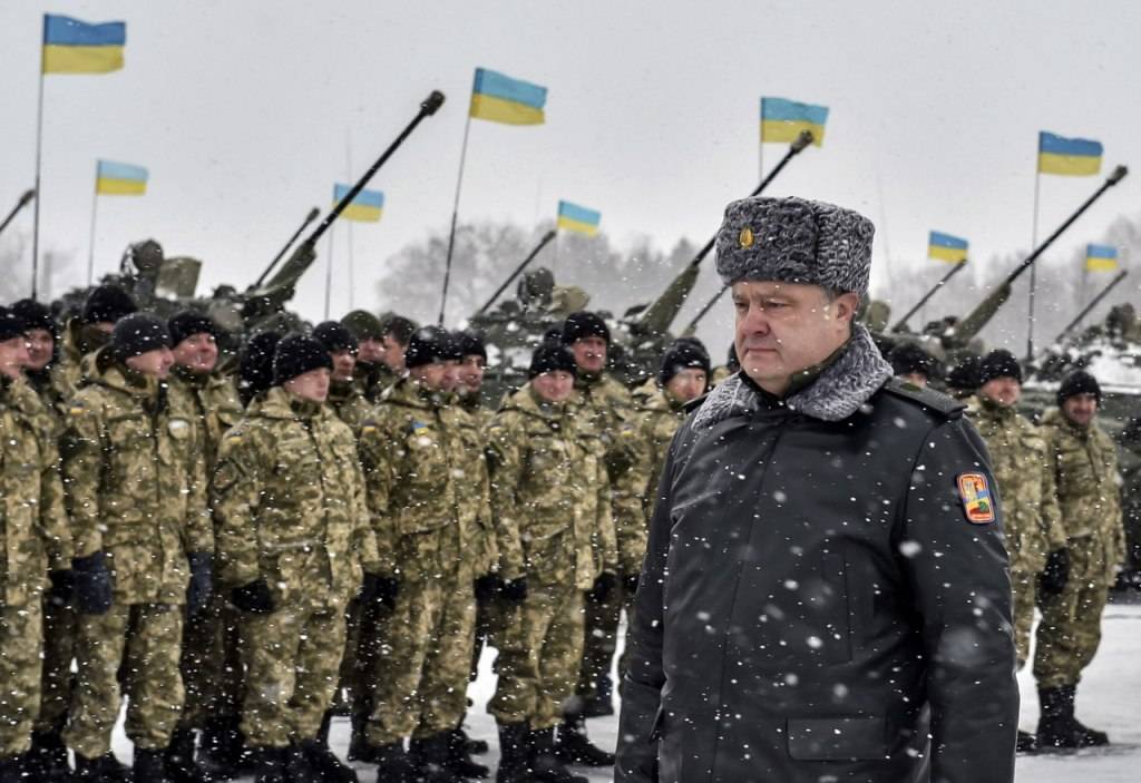 Сколько крови прольет Киев в попытках вызвать Россию на большую войну?