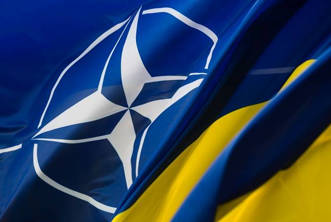 «Тихая дипломатия»: как Украина в «аспирантуру» НАТО поступила