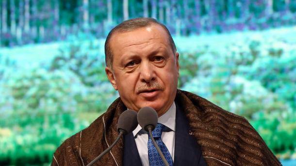 Эрдоган: Турция не остановится до тех пор, пока не ликвидирует террористов