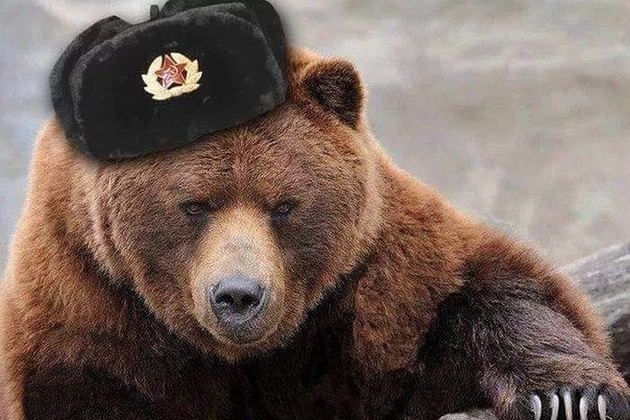 До каких пор Запад будет держать русских за идиотов?