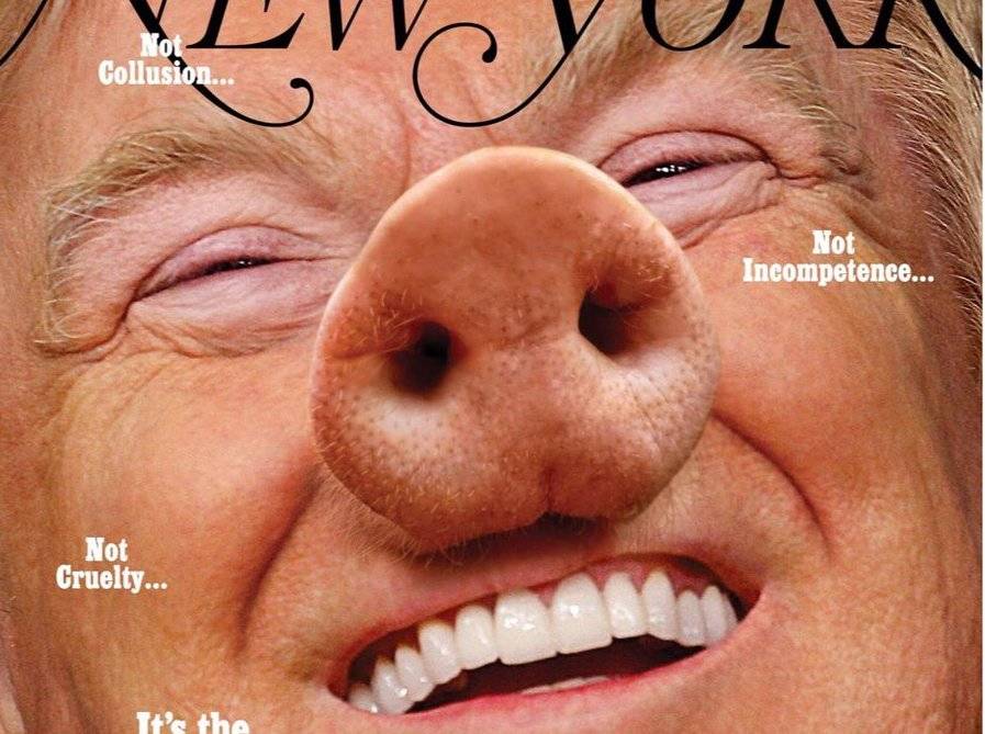 Трамп в американских СМИ: от клоуна и черта до свиньи