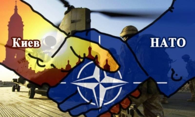 Открыв Украине путь в НАТО, Европа разрушила свою безопасность