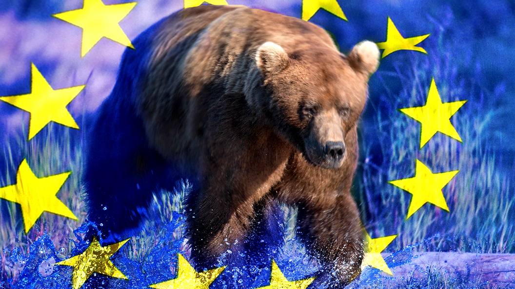 Европейский медведь бежит в Россию