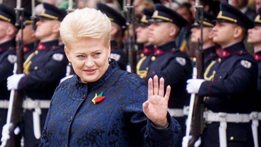 Нет «Руке Кремля»: Русофобы Литвы ставят на победу в выборах президента