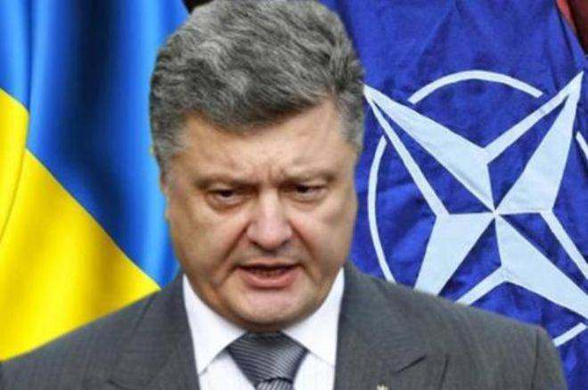 «Киеву не стоит увлекаться»: Украину поставили на место в вопросе членства