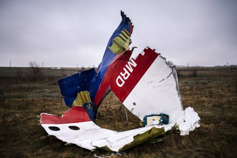 Катастрофа МН-17: Нидерланды получили новые улики от ОБСЕ