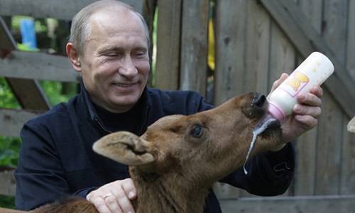 Путин возвращается к внутренней политике: каких перемен ждать стране?