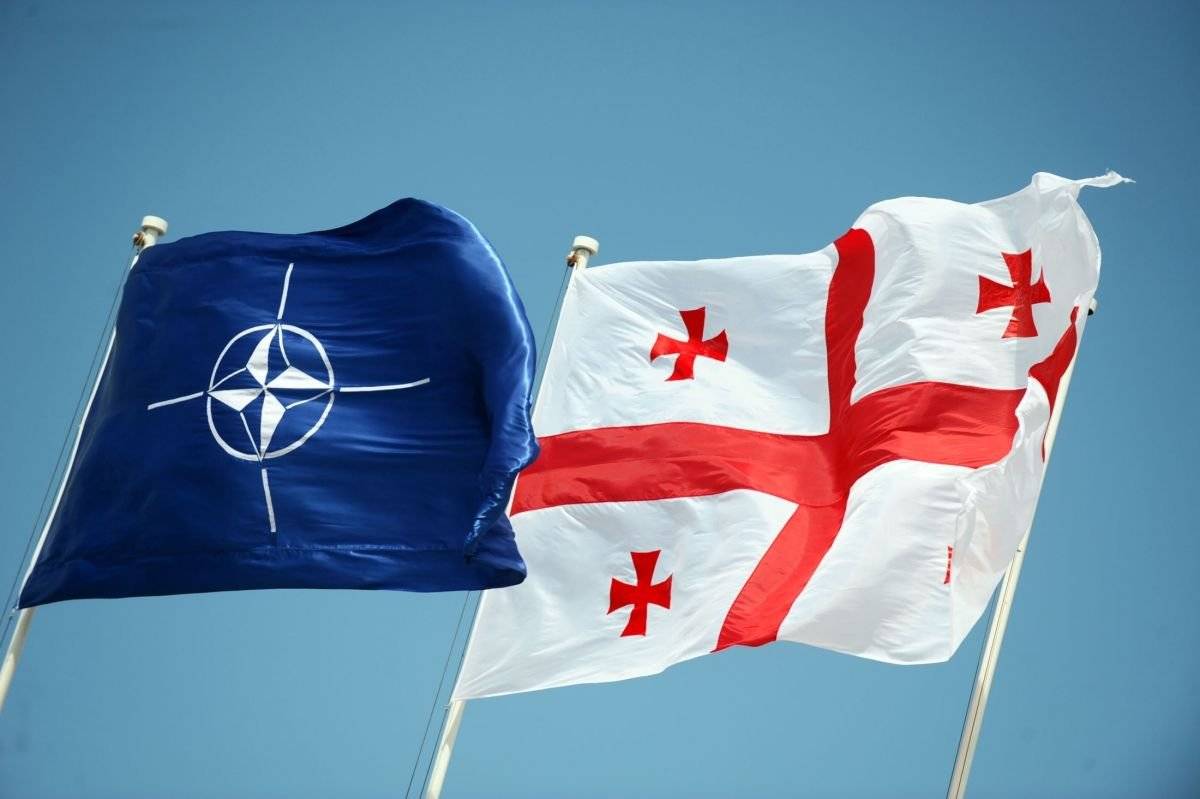 Грузия ждет от НАТО «шага вперед на пути к членству»