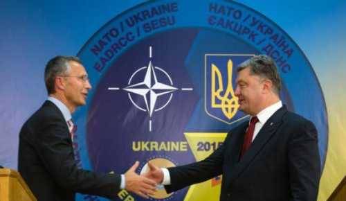 НАТО и Украина: армия живых не желает превращаться в армию «двухсотых»