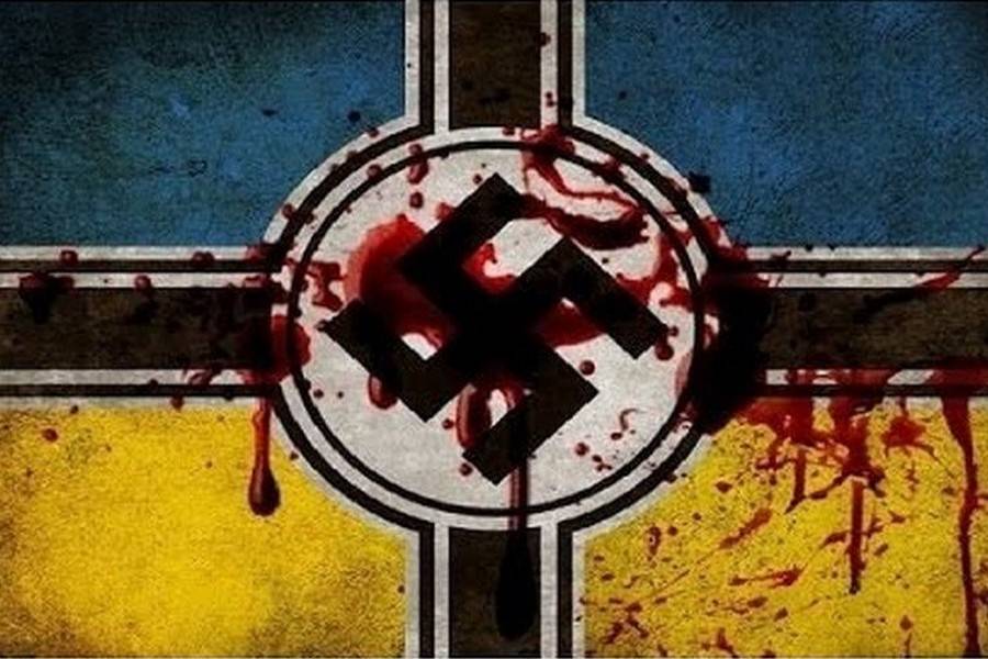 Украинская "власть" против нацистов - мыши против сыра